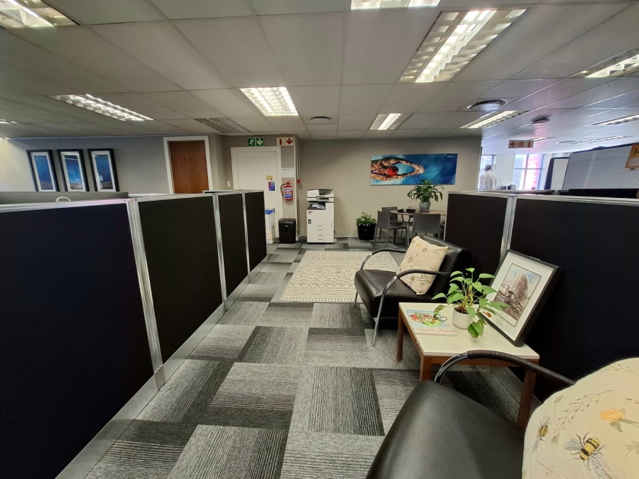 To Let commercial Property for Rent in Rondebosch Western Cape